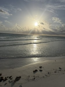 Gulf of Mexico view from the WAVES retreat in Indian Shores, Florida