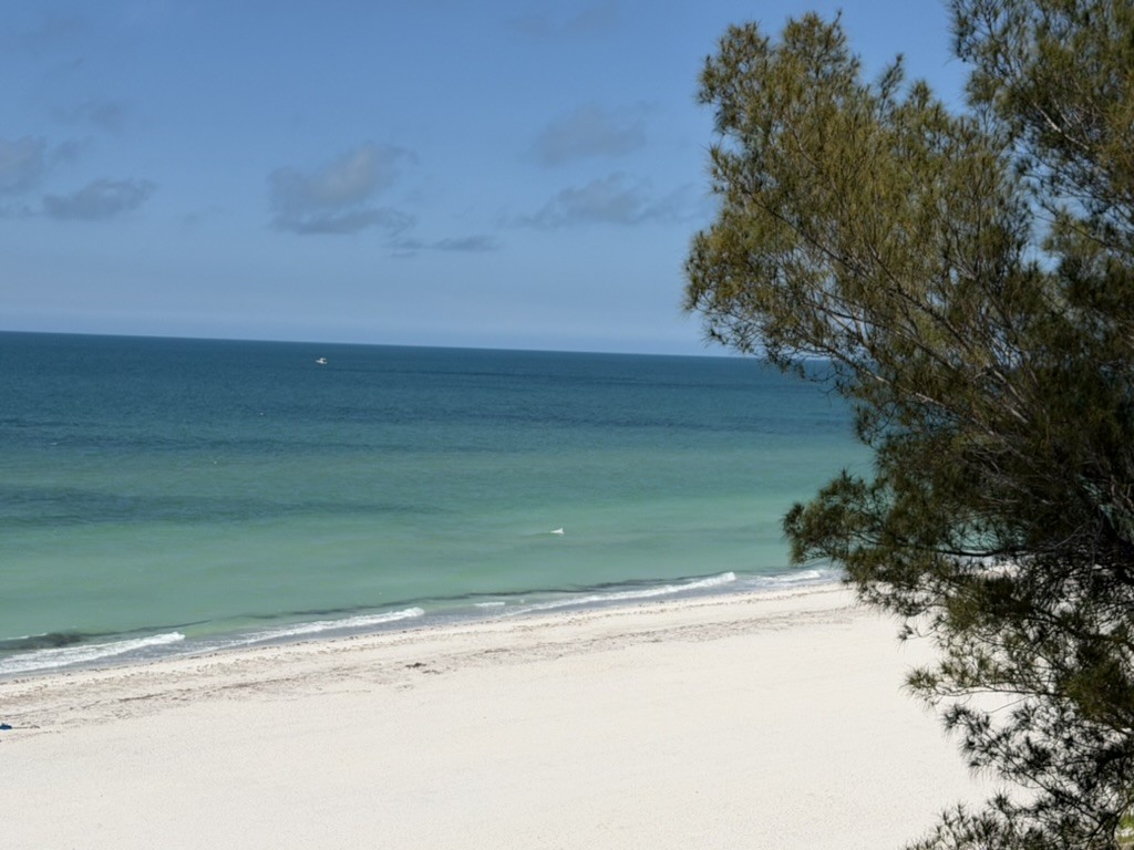 Turquoise Gulf water and white sand framed by a pine