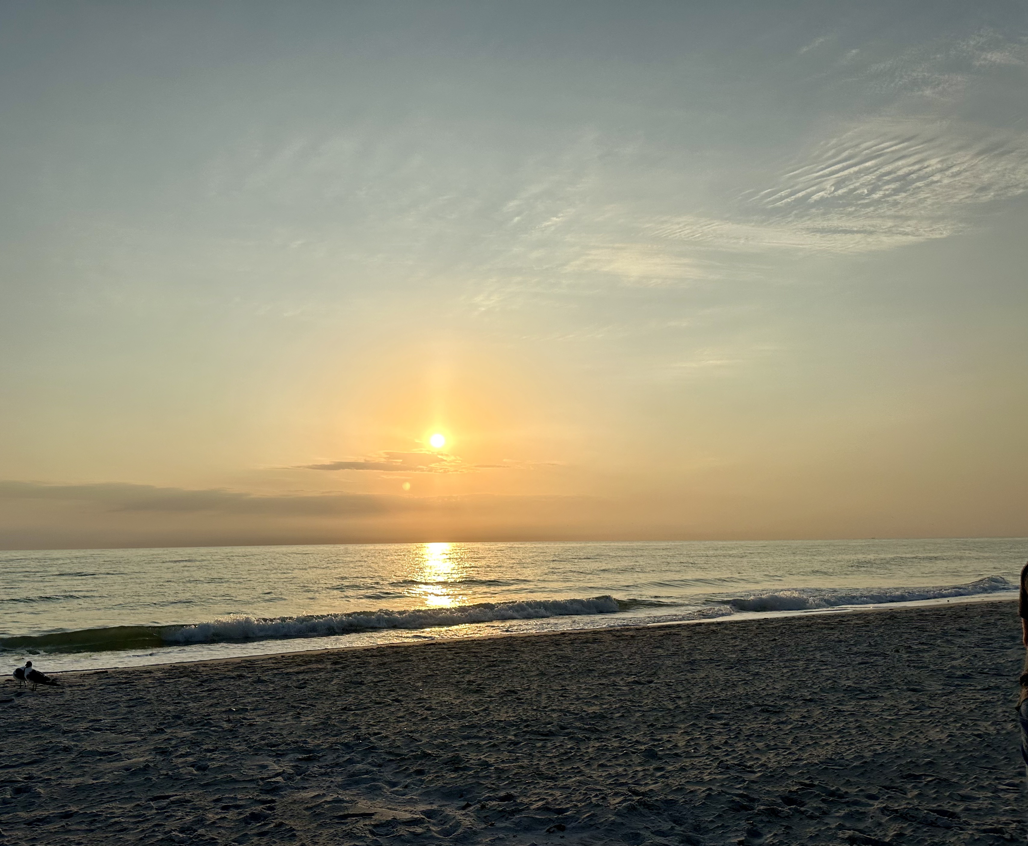 Soft golden sunrise over Indian Shores beach